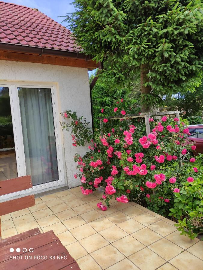 Chata Pod Roza Ledzin Exterior photo