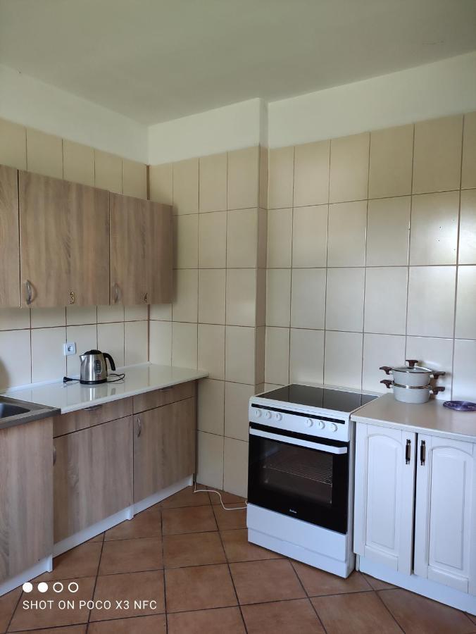 Chata Pod Roza Ledzin Exterior photo