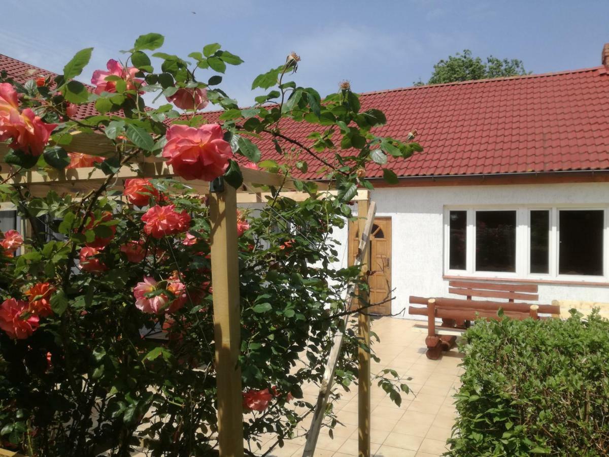 Chata Pod Roza Ledzin Exterior photo