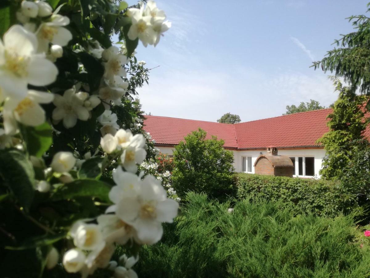 Chata Pod Roza Ledzin Exterior photo