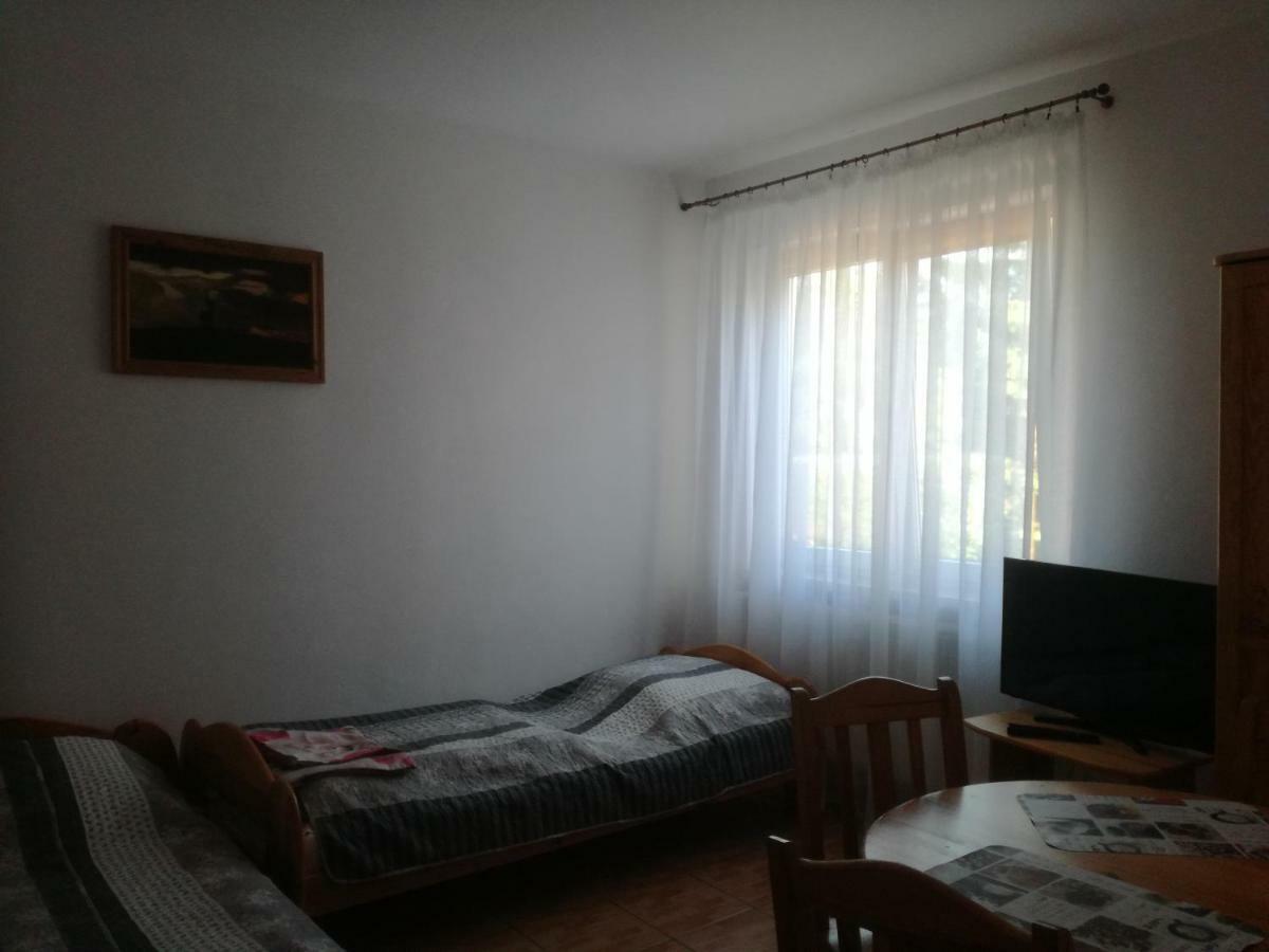 Chata Pod Roza Ledzin Exterior photo