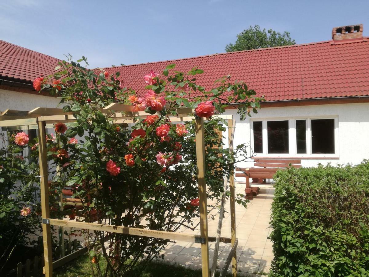 Chata Pod Roza Ledzin Exterior photo